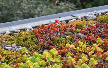 the cost of Gauldry green roof installation