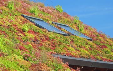 Gauldry living roof systems