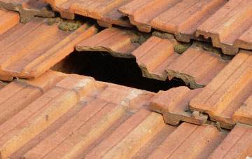 roof repair Gauldry, Fife