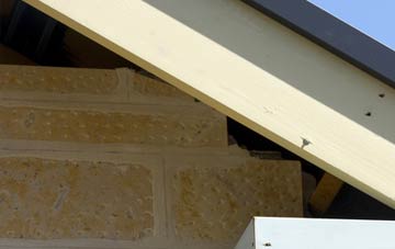 soffit repair Gauldry