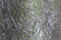 Gauldry fibreglass roof work